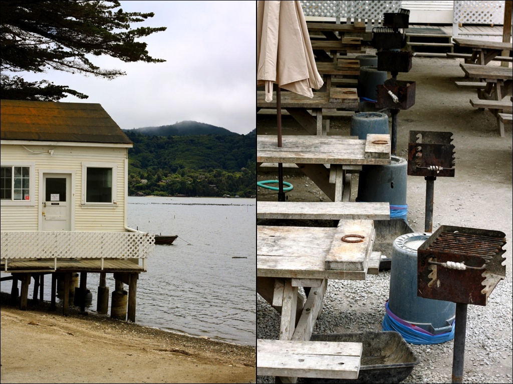 Tomales Bay Oyster Company